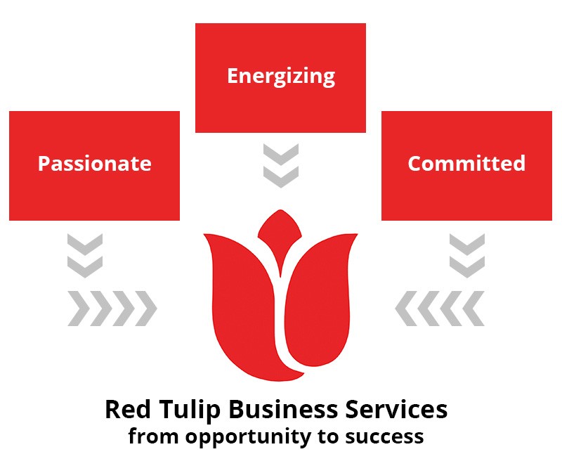 Red Tulip Business Services - From Opportunity to Success